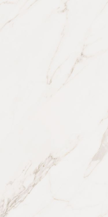 Omnia Calacatta Matte 24 x 48